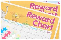 CLEVER KIDZ REWARD CHART
