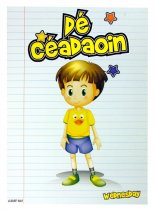 * CLEVER KIDZ PKT.7 CLASS SIGNS - DAYS OF WEEK IN IRISH