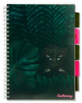 EMOTIONERY A4 250pg PP 5 SUBJECT PROJECT BOOK - TROPICAL TWILIGHT 4 ASST.
