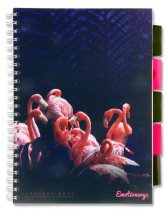 EMOTIONERY A4 250pg PP 5 SUBJECT PROJECT BOOK - TROPICAL TWILIGHT 4 ASST.