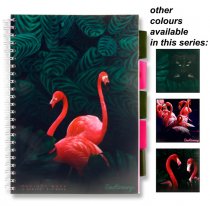 EMOTIONERY A4 250pg PP 5 SUBJECT PROJECT BOOK - TROPICAL TWILIGHT 4 ASST.