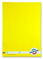 PREMTO A4 120pg MANUSCRIPT BOOK 5 ASST.