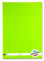 PREMTO A4 120pg MANUSCRIPT BOOK 5 ASST.
