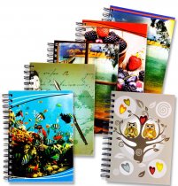 PREMIER A5 WIRO HARDCOVER NOTEBOOK 6 ASST.