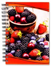 PREMIER A5 WIRO HARDCOVER NOTEBOOK 6 ASST.