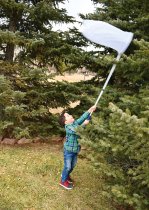 TELESCOPIC SWEEP NET