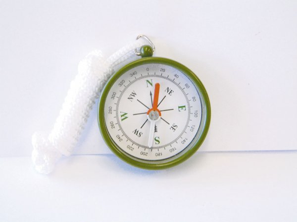 STANDARD COMPASS