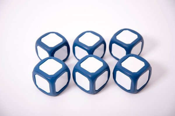 LARGE WRITE / WIPE DICE