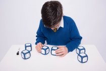 LARGE WRITE / WIPE DICE