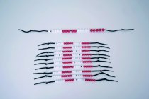 20 BEADSTRINGS - STUDENT