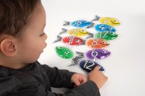 RAINBOW GEL NUMBER FISH