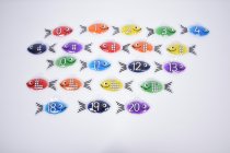 RAINBOW GEL NUMBER FISH