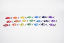 RAINBOW GEL NUMBER FISH