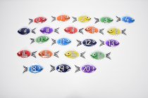 RAINBOW GEL NUMBER FISH