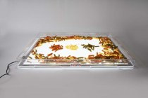 A2 LIGHT PANEL COVER TRAY