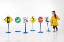 TRAFFIC SIGNS SET