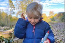 SENSORY REFLECT SOUND BUTTONS