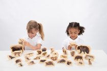 WOODEN FOREST ANIMAL BLOCKS