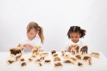 WOODEN FOREST ANIMAL BLOCKS