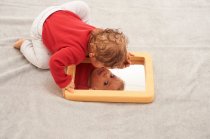 WOOD EFFECT SOFTIE MIRROR TRAY
