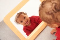 WOOD EFFECT SOFTIE MIRROR TRAY