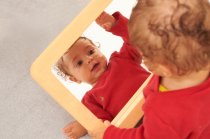 WOOD EFFECT SOFTIE MIRROR TRAY