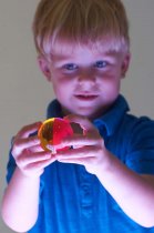 PERCEPTION SEMISPHERES