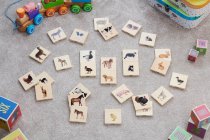 DOMESTIC ANIMAL FAMILY MATCH