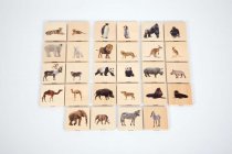 WILD ANIMAL FAMILY MATCH SET