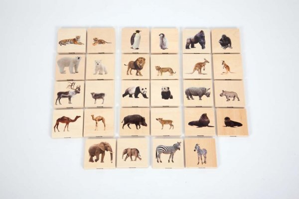WILD ANIMAL FAMILY MATCH SET