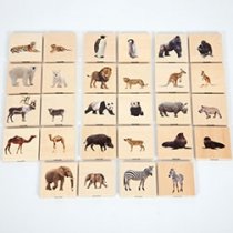 WILD ANIMAL FAMILY MATCH SET