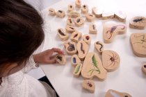 WOODEN MINIBEAST BLOCKS