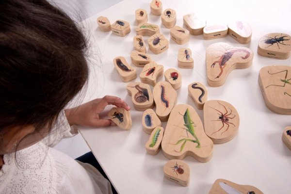 WOODEN MINIBEAST BLOCKS