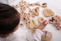 WOODEN MINIBEAST BLOCKS