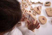 WOODEN MINIBEAST BLOCKS