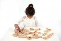 WOODEN MINIBEAST BLOCKS