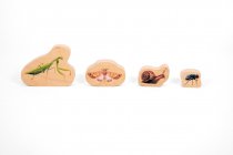 WOODEN MINIBEAST BLOCKS