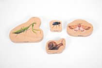 WOODEN MINIBEAST BLOCKS