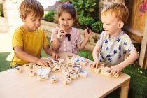 WOODEN MINIBEAST BLOCKS