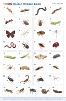 WOODEN MINIBEAST BLOCKS