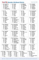 WOODEN MINIBEAST BLOCKS