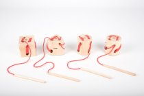 WOODEN LACING SHAPES