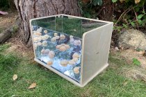 WOODEN EXPLORATORY MIRROR