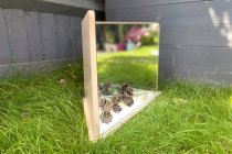 WOODEN 4 WAY MIRROR