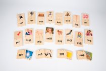 HOLLY'S PHONICS SET