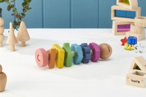 RAINBOW WOODEN SHAPE TWISTER