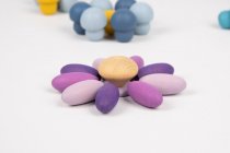 WOODEN TREASURES - PICKLE