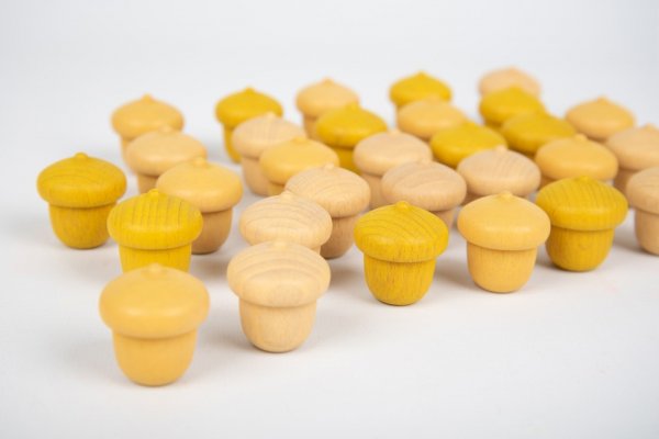 WOODEN TREASURES - ACORN