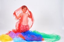 RAINBOW ORGANZA FABRIC