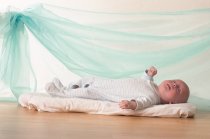 RAINBOW ORGANZA FABRIC